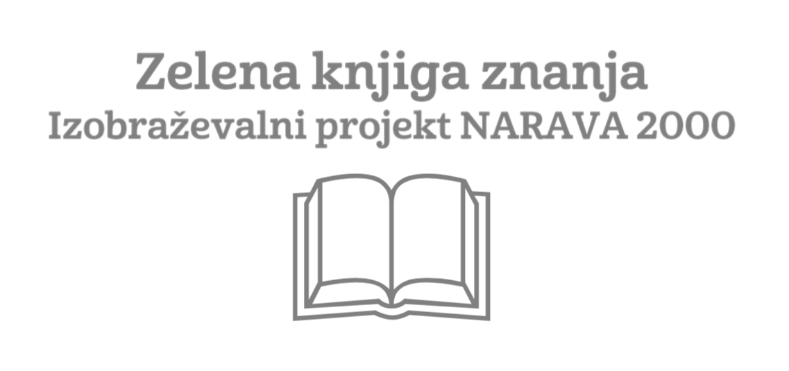 Zelena knjiga znanja