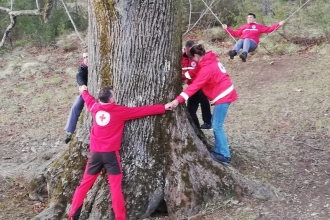 Crveni križ