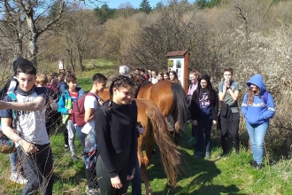 Radionica - Biti ptica na jedan dan