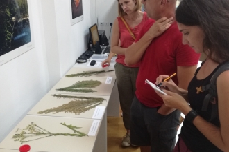 Workshop - Invasive Species