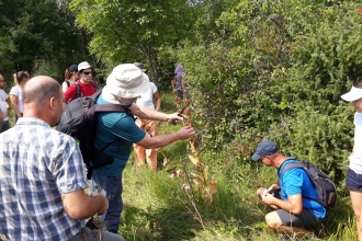 Workshop - Invasive Species