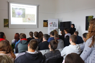 Workshop - Grass, lawns, hamburger