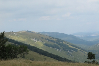 Grasslands and saw-wort 