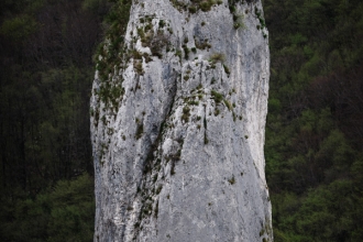 Igor Zirojević