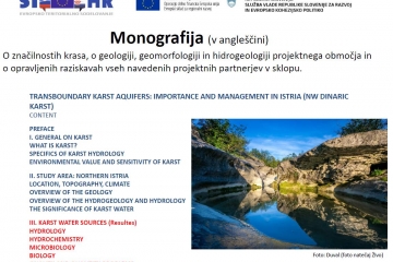 Monografija